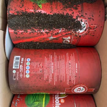 Tirebolu 42 Çay Tirebolu 42 Yanlış Adres Ve Ambalaj Fiyaskosu.!