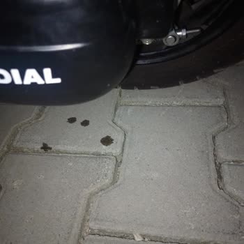 Mondial Wing Bir Daha Tövbe Almam