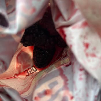 Arçelik Buzdolabının Motor Arızası ve Gıda Tazmini Sorunu