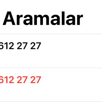 Renault Müşteri Temsilcisinin Terbiyesizliği