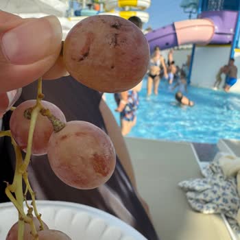 Victory Hotels Be Mine (Antalya) Otelde Hijyen Sorunları Ve İlgisizlik