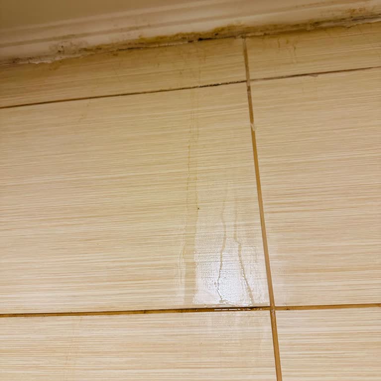 Sueno Hotels Bakımsızlık Ve Temizlik