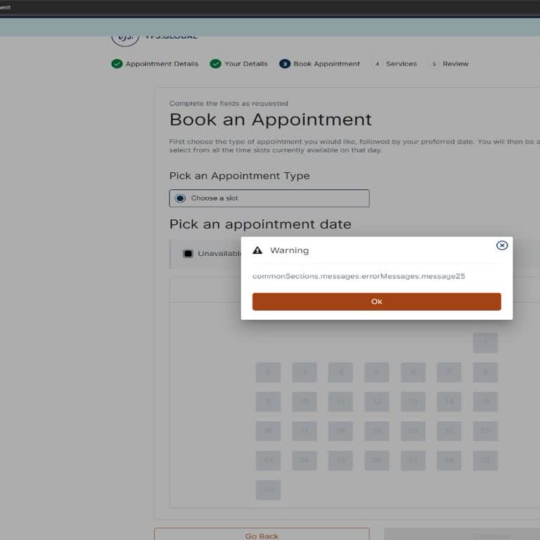 Ankara VFS Global Belçika Vize Randevusu Alamama