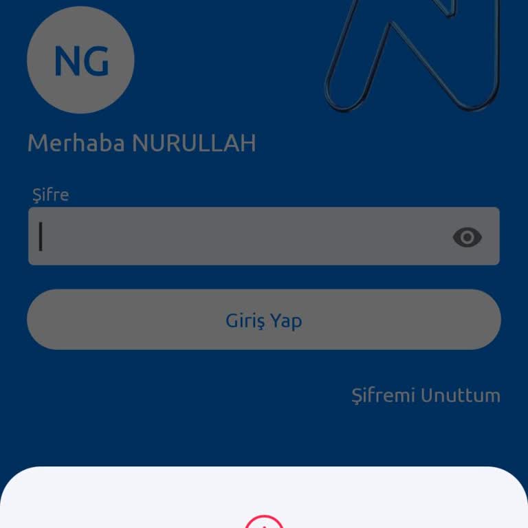 Nkolay Aktif Bank Mobil Erişim Sorunu Ve İlgisizlik