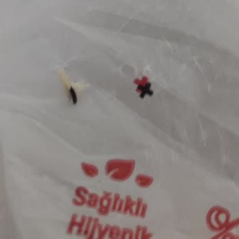 Mis Fırın Ayancık Mis Ekmek Fırınından Alınan Ekmek Den Ölü Böcek Çıktı