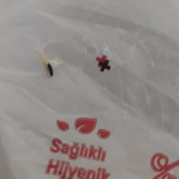 Mis Fırın Ayancık Mis Ekmek Fırınından Alınan Ekmek Den Ölü Böcek Çıktı