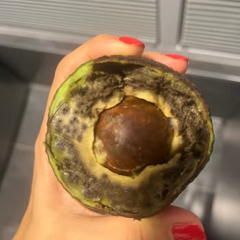 Migros Evime Gönderdiği Küflü Ve Çürük Ürün İçin İade Kabul Etmedi