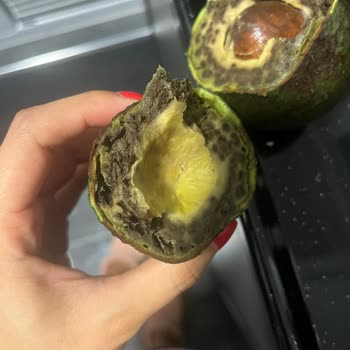 Migros Evime Gönderdiği Küflü Ve Çürük Ürün İçin İade Kabul Etmedi