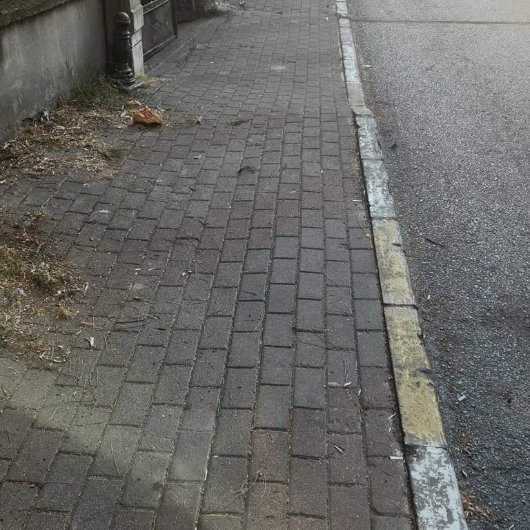 Pendik Belediyesi Kaldırımda Yürümek İstiyoruz