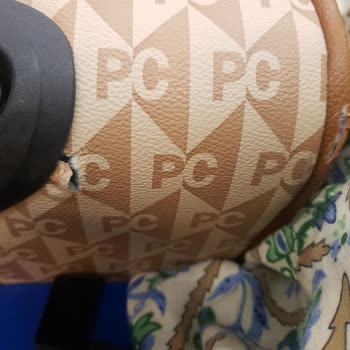 Pegasus Hava Yolları Müşteri Memnuniyetsizliği