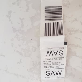 Pegasus Hava Yolları Müşteri Memnuniyetsizliği