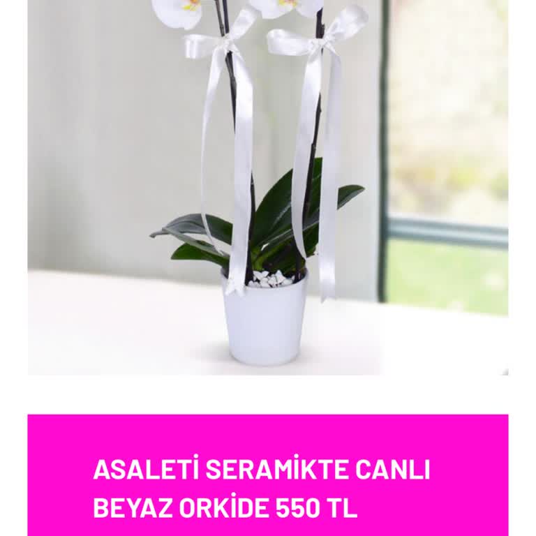 Efsun Çiçekçim Çevrimiçi Çiçek Siparişinde Yaşanan Sorunlar