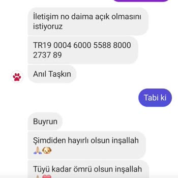 Minipatilerimiz (Instagram) Sahipsiz Köpek Sahiplendirme İddiasıyla İlgili Şikayet