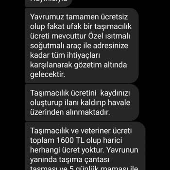 Minipatilerimiz (Instagram) Sahipsiz Köpek Sahiplendirme İddiasıyla İlgili Şikayet