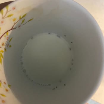 Nespresso Kahve Makinesi Şikayet