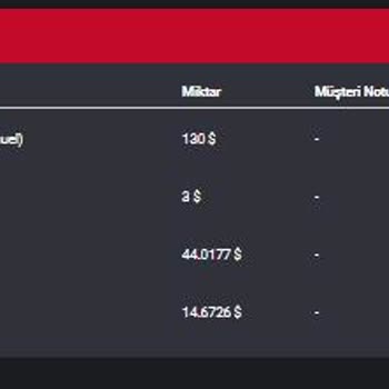 Redwin Hak Ettiğim Bakiyemi Sildi!