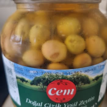 Cem Zeytincilik Yeşil Zeytin Kalite Sorunu