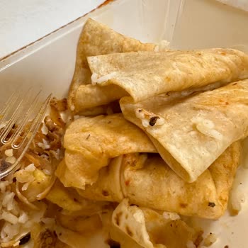 Maydonoz Döner Yemek Siparişimde Böcek Çıktı, Sağlığımız Tehlikede!