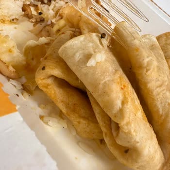 Maydonoz Döner Yemek Siparişimde Böcek Çıktı, Sağlığımız Tehlikede!