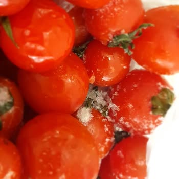 Siemens Buzdolabı Sürekli Arızalanıyor Ve Ürünleri Bozuyor