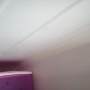 Bosch Buzdolabı Yüzeyinde Sararma Sorunu