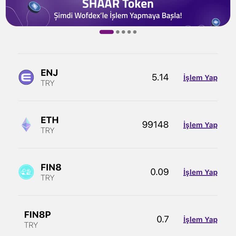 Wofdex Fin8 Cripto İşlemleri Kapattı