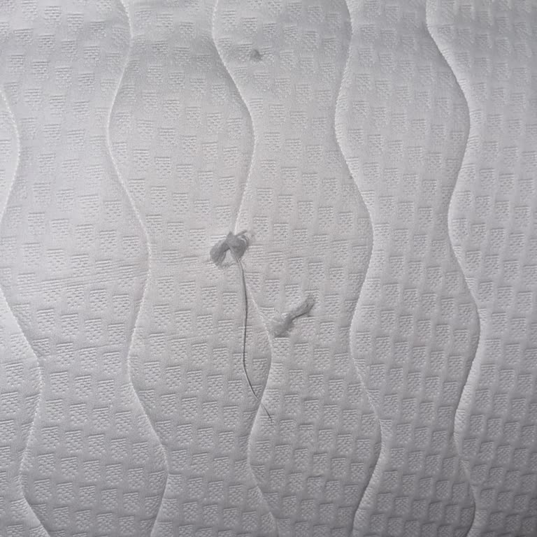 Doğtaş Mobilya MASKO Lova Yatak Setinde Yırtık Ve İlgisiz Müşteri Hizmetleri