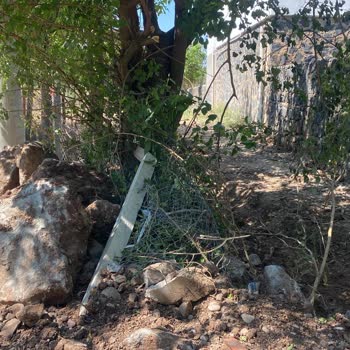 Diyarbakır Yenişehir Belediyesi Bizi Mağdur Etti