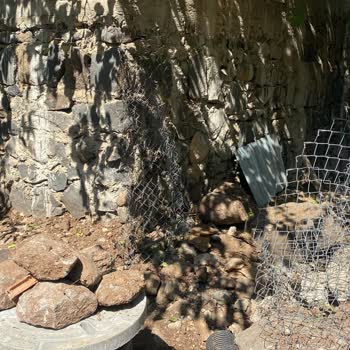 Diyarbakır Yenişehir Belediyesi Bizi Mağdur Etti