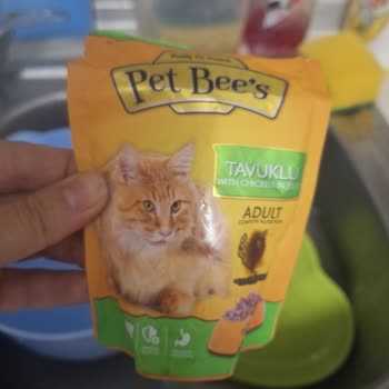 Carrefour SA Pet Bee's Kedi Maması Bozuk Çıktı