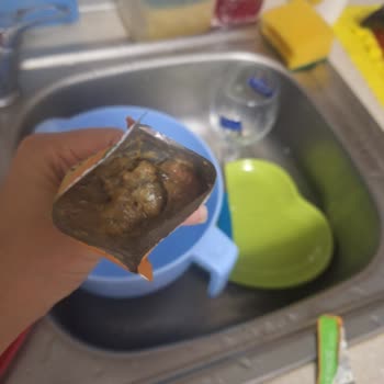 Carrefour SA Pet Bee's Kedi Maması Bozuk Çıktı