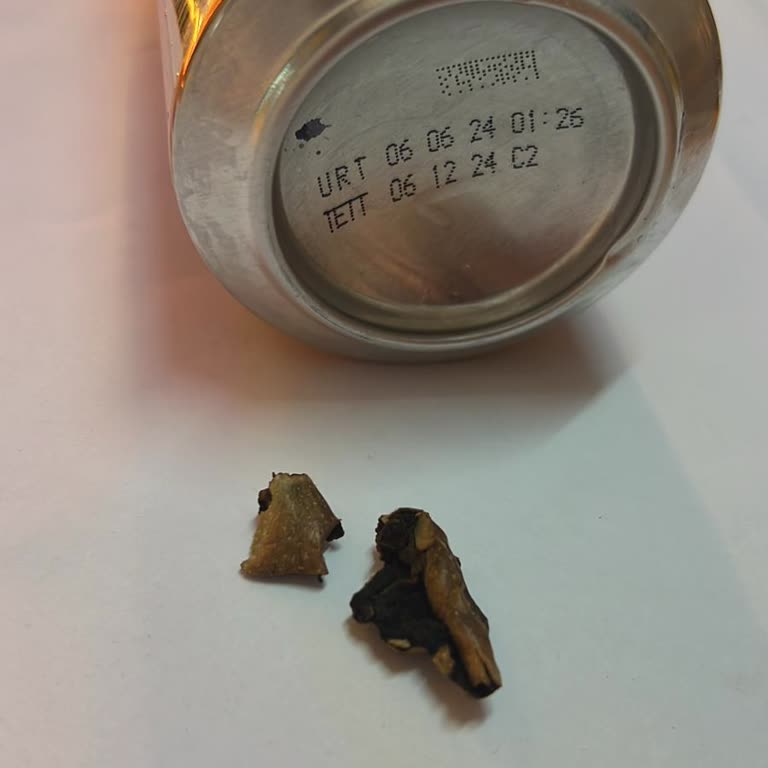 Tuborg Golt Kutu Biranın İçinden