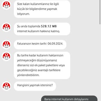 Vodafone İnternet Paketi Kullanım Sorunu ve Hatalı Fatura Yansımaları