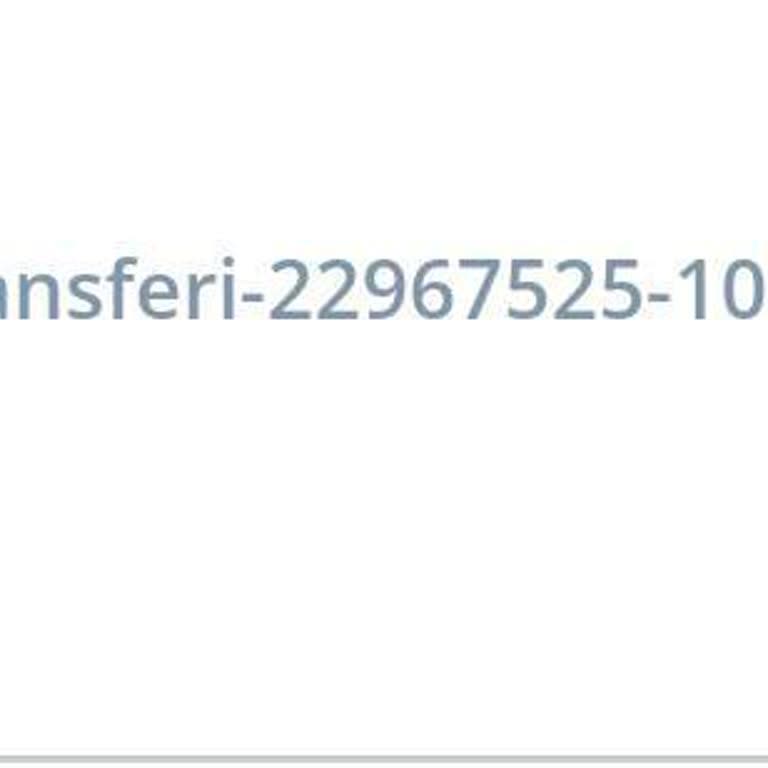 Denizbank Dgr Diğer Bakiye Transferi Adı Altında Belirsiz Kesintiler!