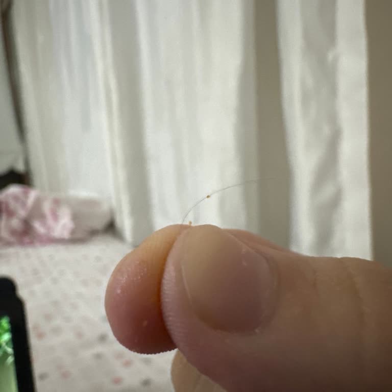 Doritos İçinden Kıl Çıktı