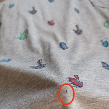 Vestel İn Çözümsüzlük Çözümü...