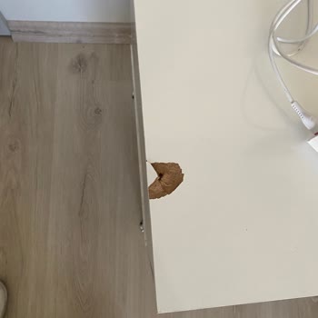 Enes Mobilya (Karabağlar) Eşya Alırken Biz Araştırma Yapmadık Siz Yapın.