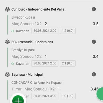 Betwild Sitesinde Para Çekim Sorunları Ve Ödeme Yapmama