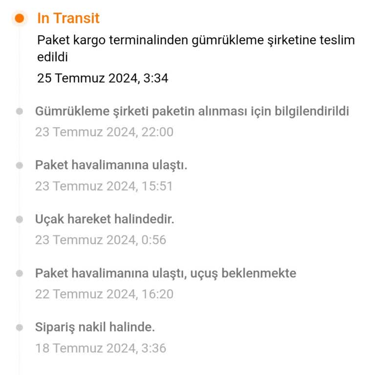 Temu Gümrükleme Süreci Sorunu