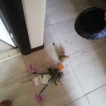 ÇiçekSepeti'nin Yıldönümümüzü Rezil Etti, Acil İade İstiyorum