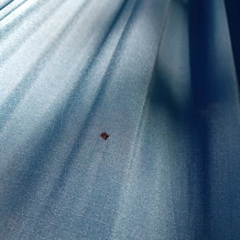 Decathlon İade Almama Ve Müşteriyi Haksız Çıkarma Sorunu