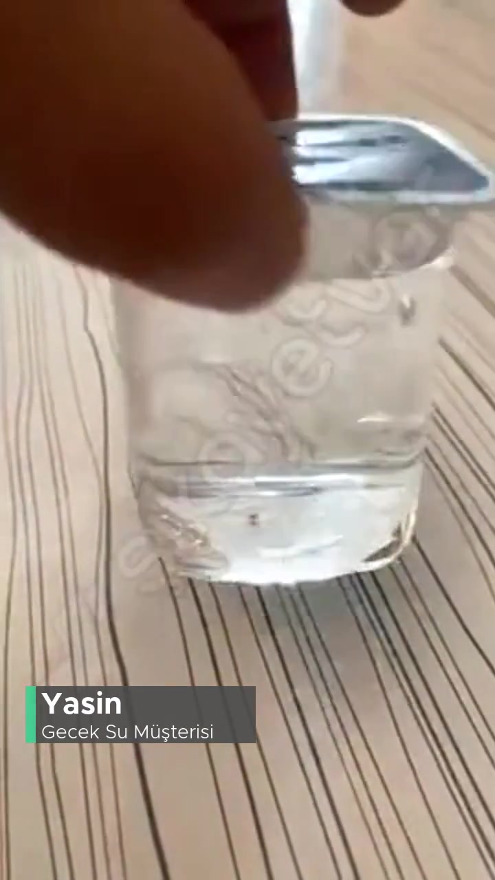 Gecek Su Suyun İçinde Yabancı Cisim Var! videonun kapak resmi