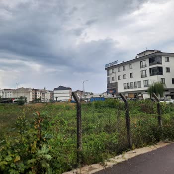 Altınordu Belediyesi Arsada Otların Biçilmemesi Ve Zabıta İlgisizliği