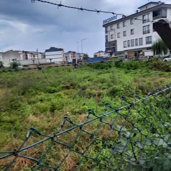 Altınordu Belediyesi Arsada Otların Biçilmemesi Ve Zabıta İlgisizliği