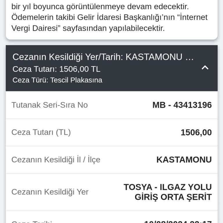 Emniyet Genel Müdürlüğü Gereksiz Lüzumsuz Ceza