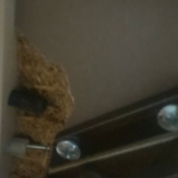 Doğtaş Mobilya Ankara Etimesgut Mağduriyeti