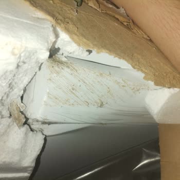 Beko Derin Dondurucu Alımında Yaşanan Sorunlar Ve Memnuniyetsizlik
