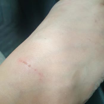 Selin Shoes Ürünü Sattıktan Sonra Sizi Engelleyip İletişimi Kesiyorlar