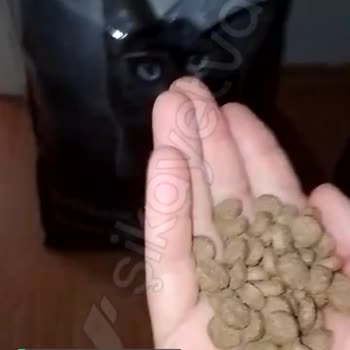 A101'de Satılan Challenge Kedi Maması Çok Kötü!