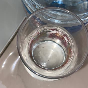 Abant Su Abant 5L Su